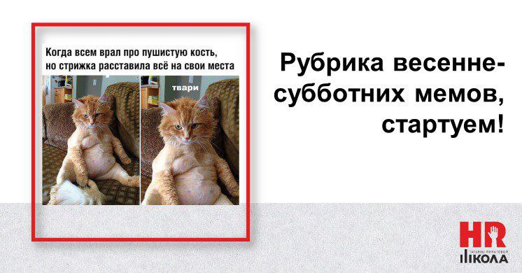 Традиционная рубрика #мемыhr можно всё, любое, смешное, относительно свежее. Только без мата, мы, как школа, пока стесняется;) Наскидываем своё, накопленное за неделю и вы присоединяйтесь! | Сетка — социальная сеть от hh.ru