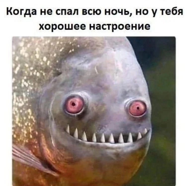 Как спалось? Как настроение? | Сетка — социальная сеть от hh.ru