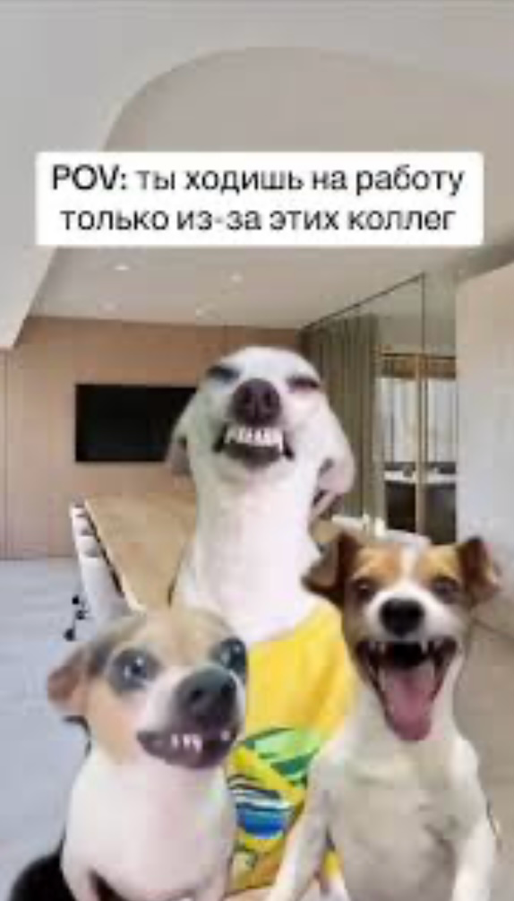 Сделал из «токсика» соратника — и не жалею | Сетка — социальная сеть от hh.ru