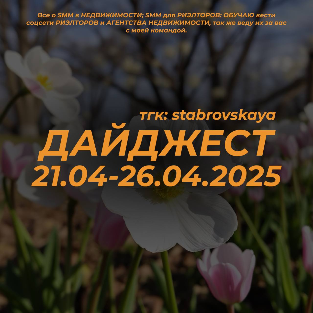 Интересное за неделю 21.04-26.04.2025Ты не боишься камеры. Ты боишься себя.Как мы помогли риелтору получить клиентов из Телеграм с нуля.Клиенты просят «лошадь». А на деле - ему нужно добраться до цели | Сетка — социальная сеть от hh.ru