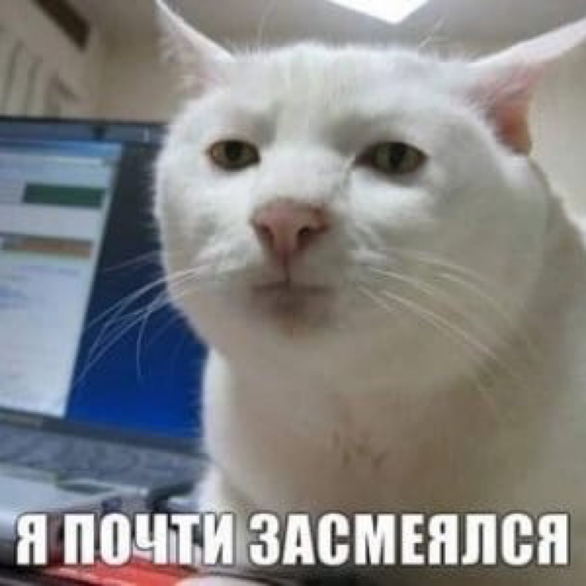 Денис Купцов