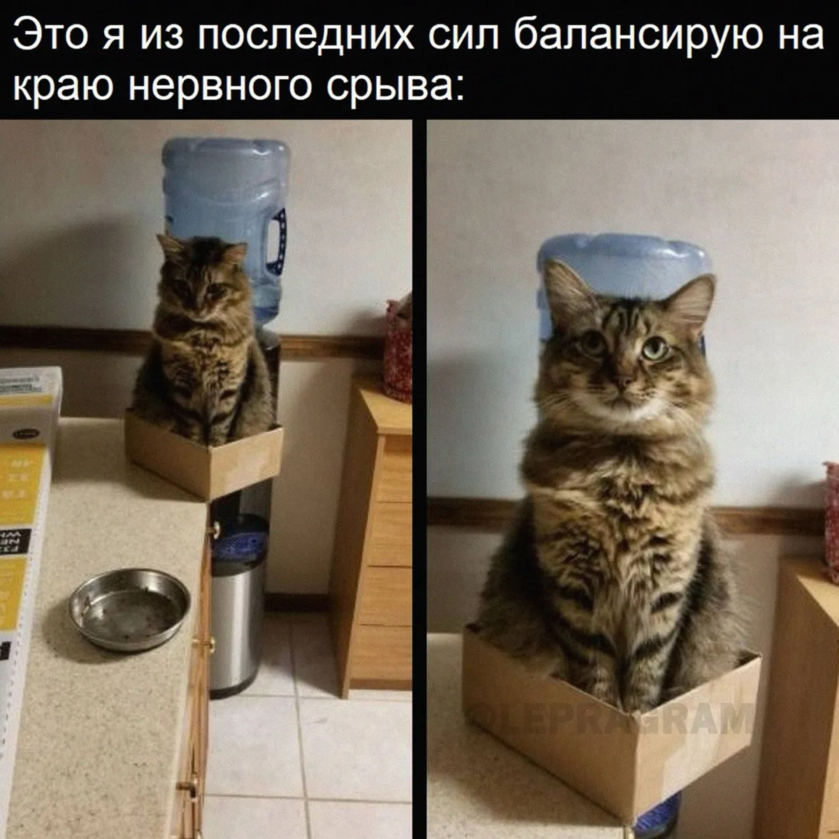 Стрессовые ситуации | Сетка — социальная сеть от hh.ru