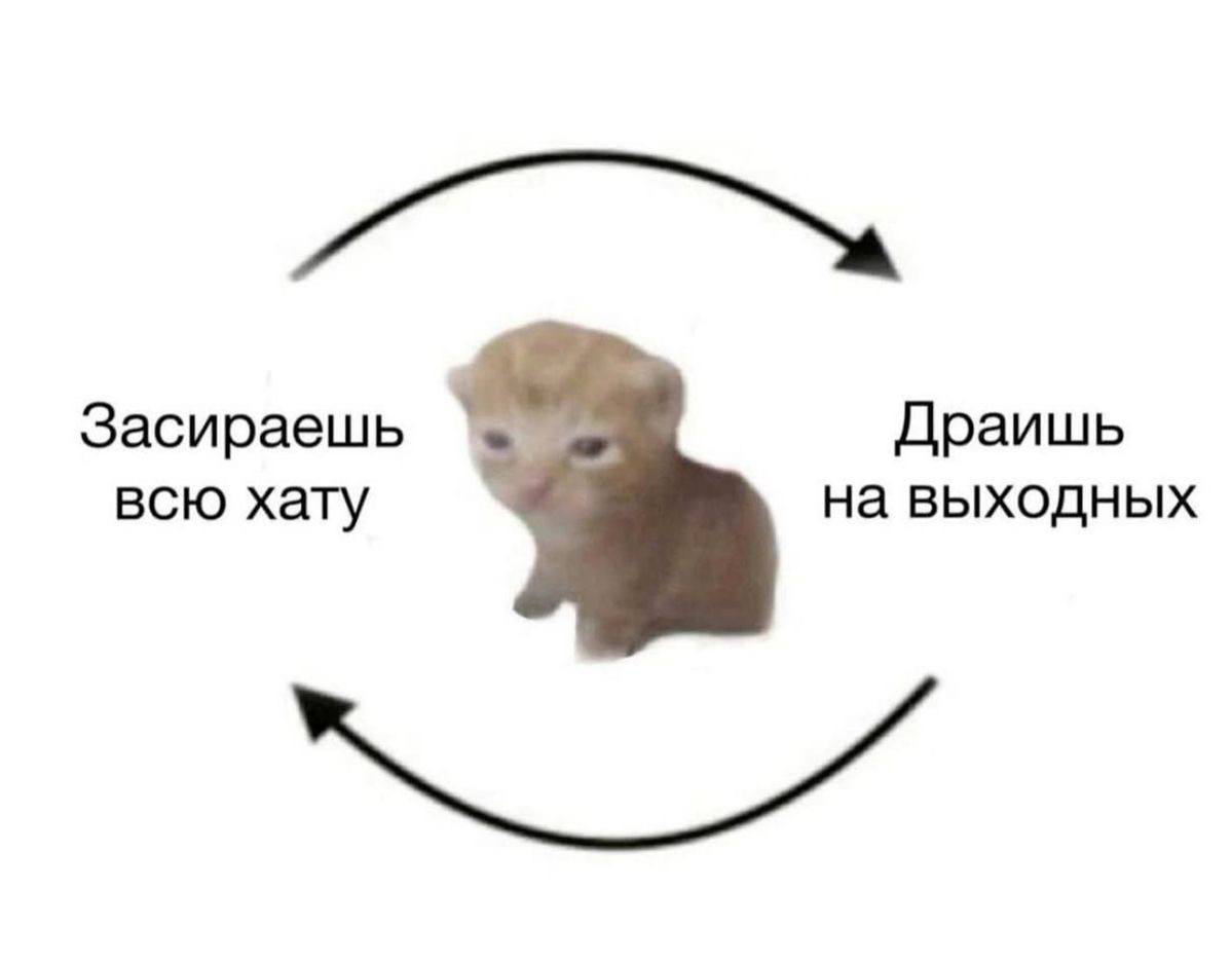 Так? 😅👍 | Сетка — социальная сеть от hh.ru