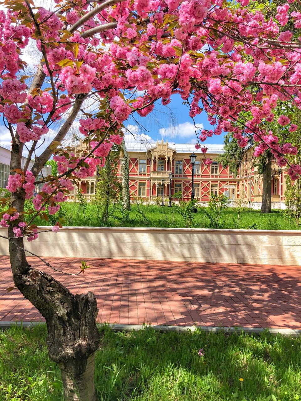 Япония на Кавказе 🌸
На КМВ зацвела красавица Сакура. Потрясающее зрелище, как Вам ?
📸Фотограф Артём Мелетов | Сетка — социальная сеть от hh.ru