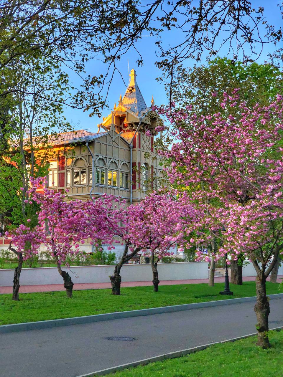 Япония на Кавказе 🌸
На КМВ зацвела красавица Сакура. Потрясающее зрелище, как Вам ?
📸Фотограф Артём Мелетов | Сетка — социальная сеть от hh.ru