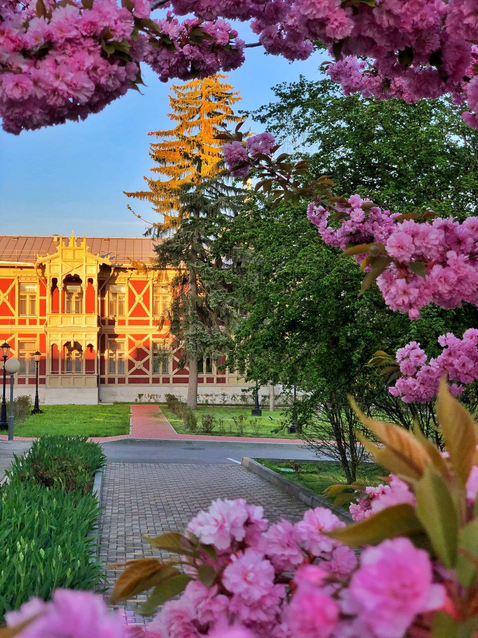 Япония на Кавказе 🌸
На КМВ зацвела красавица Сакура. Потрясающее зрелище, как Вам ?
📸Фотограф Артём Мелетов | Сетка — социальная сеть от hh.ru