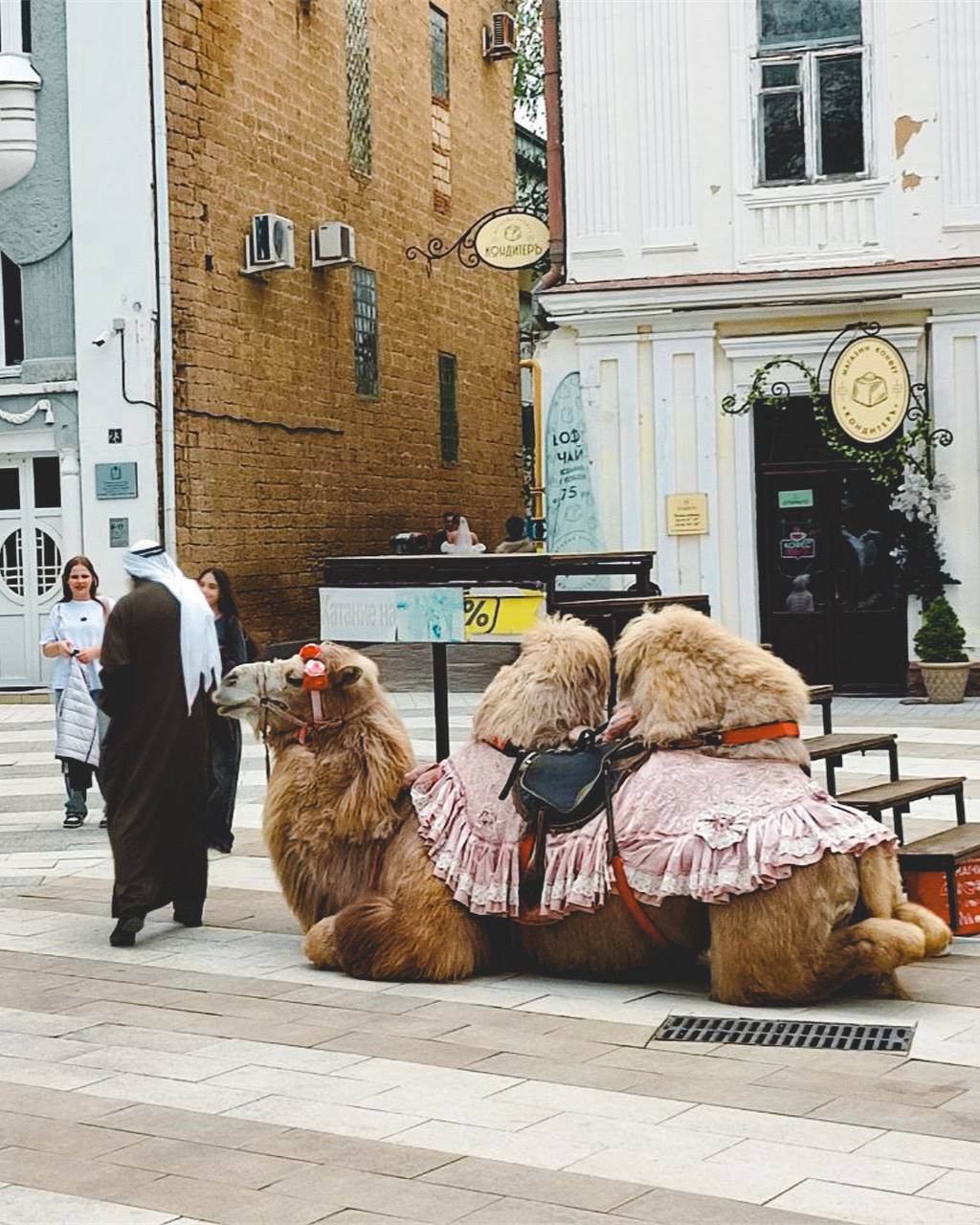 Около центрального парка
📸 От подписчика | Сетка — социальная сеть от hh.ru