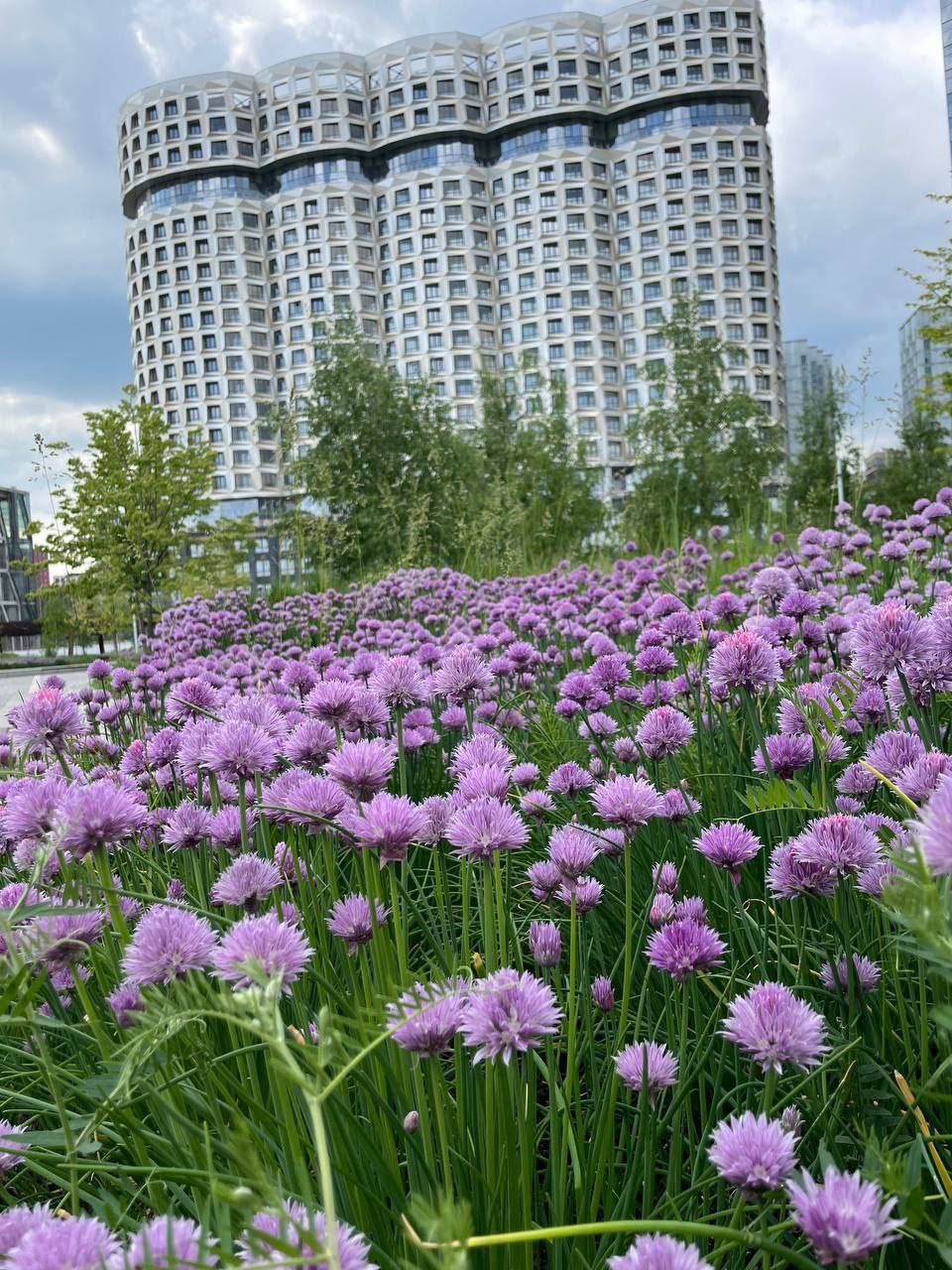 Парк «Тюфелева роща»🌳
На месте бывшего завода ЗИЛ появился современный парк с перголой длиной 1,3 километра | Сетка — социальная сеть от hh.ru