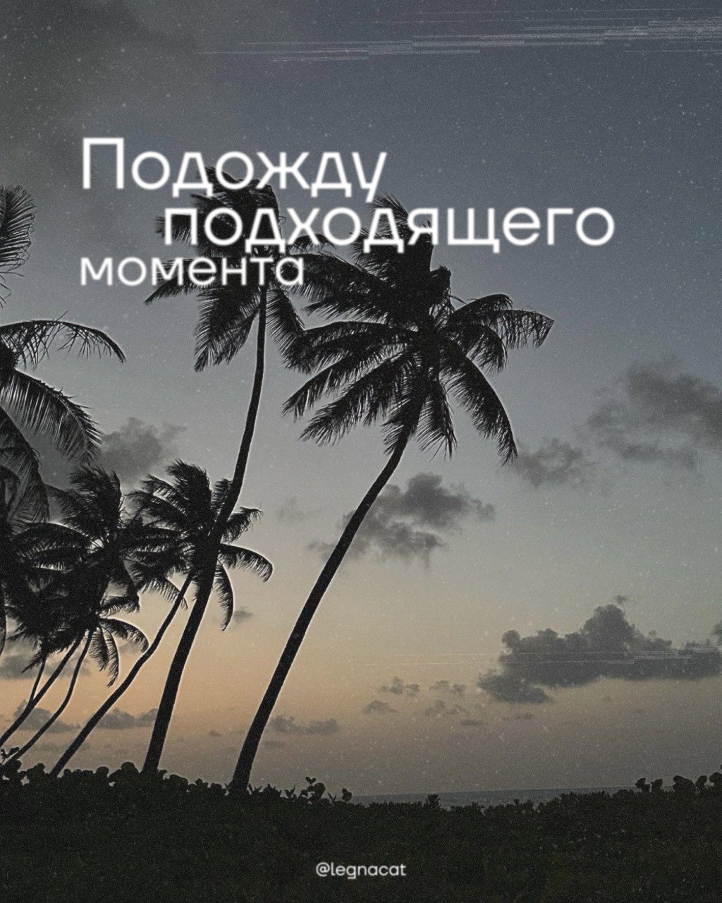 Опять недельку подождешь подходящего момента? | Сетка — социальная сеть от hh.ru