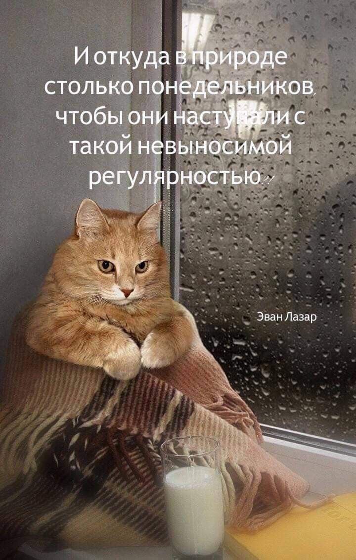 Доброе утро!
Легкого понедельника ☕ | Сетка — социальная сеть от hh.ru