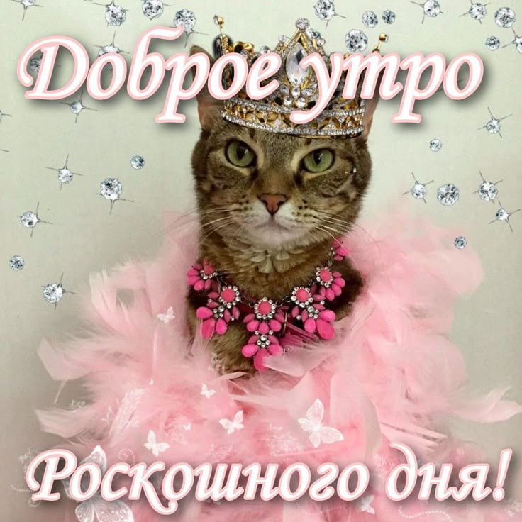 Не все же должно быть со смыслом. Просто и понятно. | Сетка — социальная сеть от hh.ru