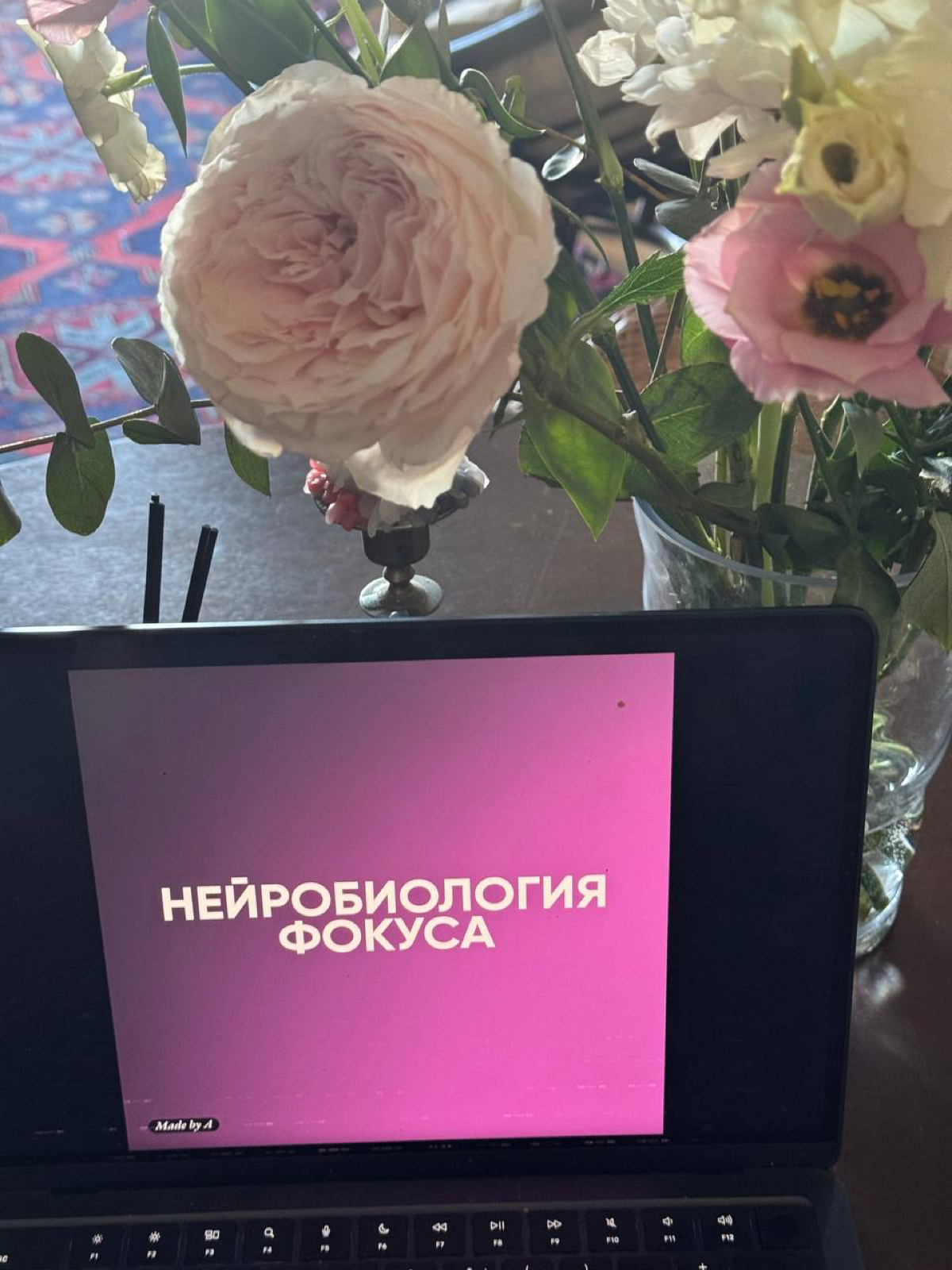 А знаете, почему я абсолютно на всех своих лекциях и продуктах рассказываю про то, как то или иное явление работает с точки зрения мозга? 🧠Даже на моих стратссессиях блок про правила мозга для работы ... | Сетка — социальная сеть от hh.ru
