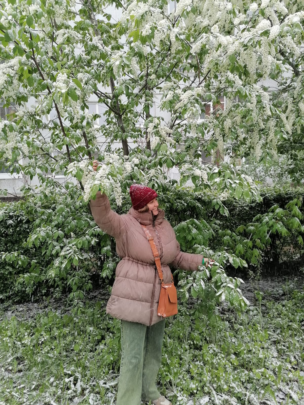 🎯Адаптация | Сетка — социальная сеть от hh.ru