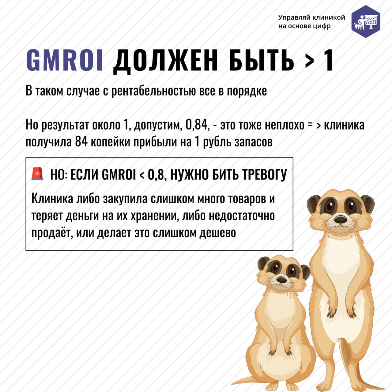Если для вас GMROI — это что-то вроде звуков Суриката, вам срочно нужно прочитать этот пост | Сетка — социальная сеть от hh.ru