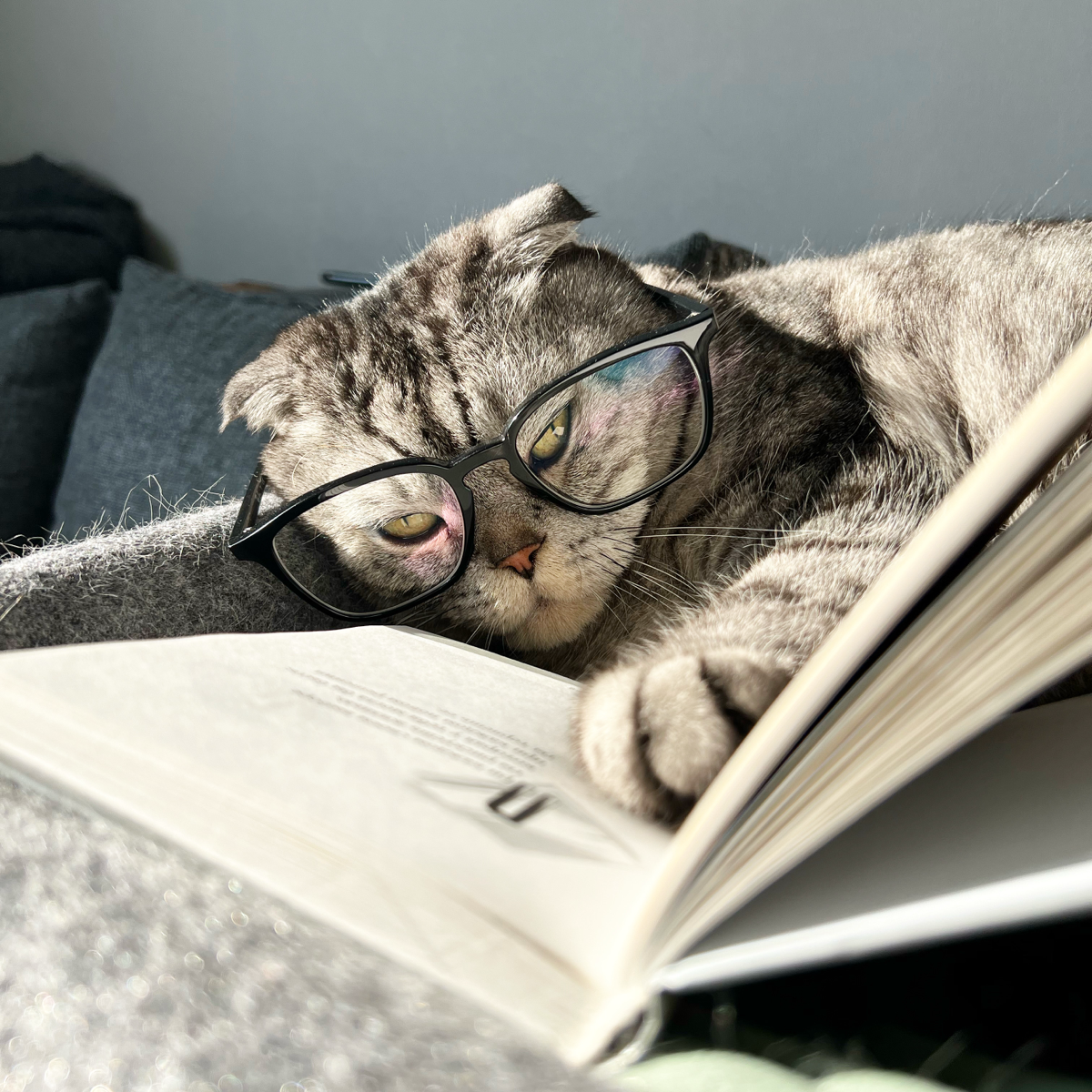Люблю читать😻 | Сетка — социальная сеть от hh.ru