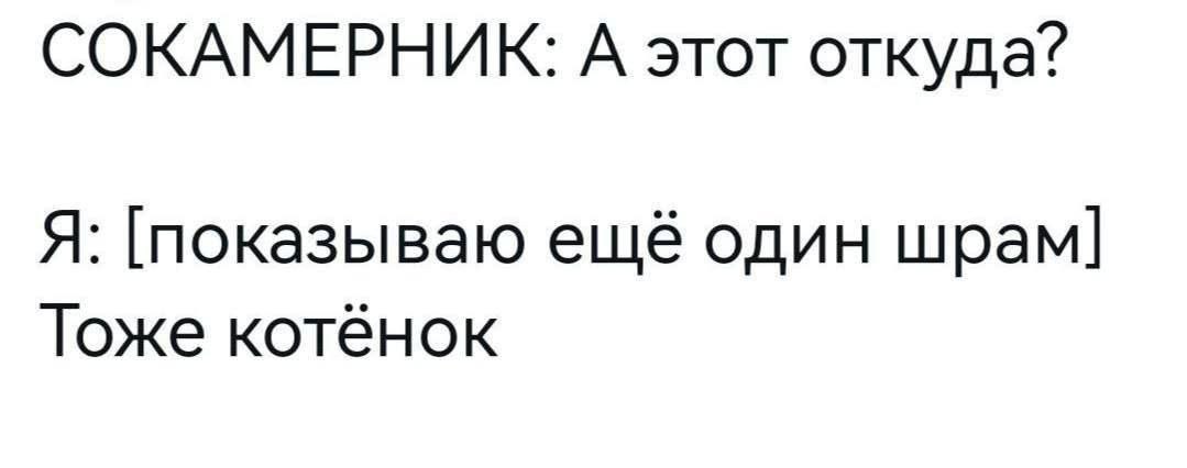 Мемный вторник!
PS. 3й день болею. Сегодня без текстов. Мемами и петом. | Сетка — социальная сеть от hh.ru