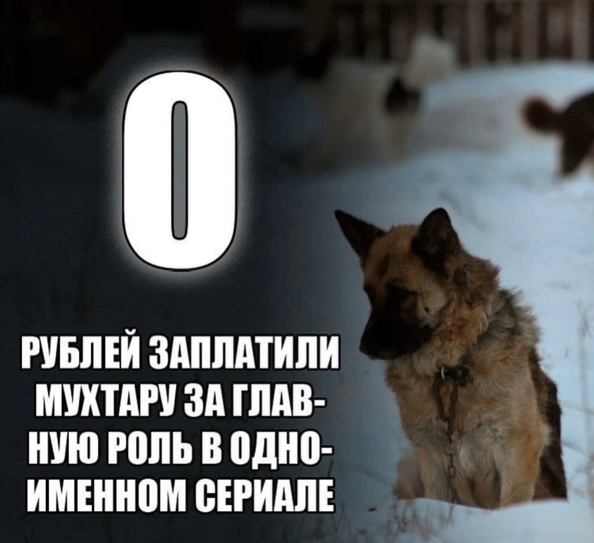 Если тебе тяжело в охране труда, мало платят, и хочется всё бросить — подумай о Мухтаре.
Блог—Инженера с утра и навсегда ❤️
✴️ СУОТ 🔐 Услуги | Сетка — социальная сеть от hh.ru