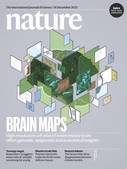 Обложки журнала Nature как произведение искусства
Недавно мне попалась очень красивая обложка журнала Nature от июня 2024 года, с вероятностью 99,9% созданная AI | Сетка — социальная сеть от hh.ru