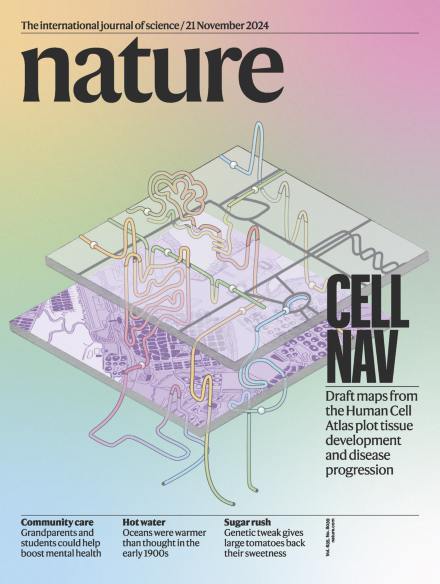 Обложки журнала Nature как произведение искусства
Недавно мне попалась очень красивая обложка журнала Nature от июня 2024 года, с вероятностью 99,9% созданная AI | Сетка — социальная сеть от hh.ru