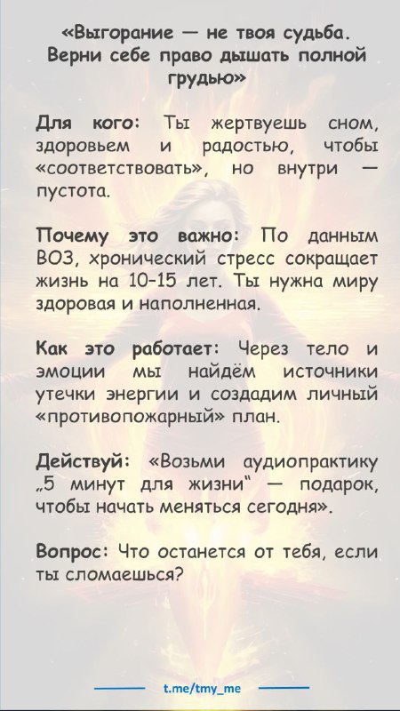 💥 СЕРГЕЙ ВЛАСОВ | ЭВОЛЮЦИЯ РАЗУМА (Telegram) | Сетка — социальная сеть от hh.ru
