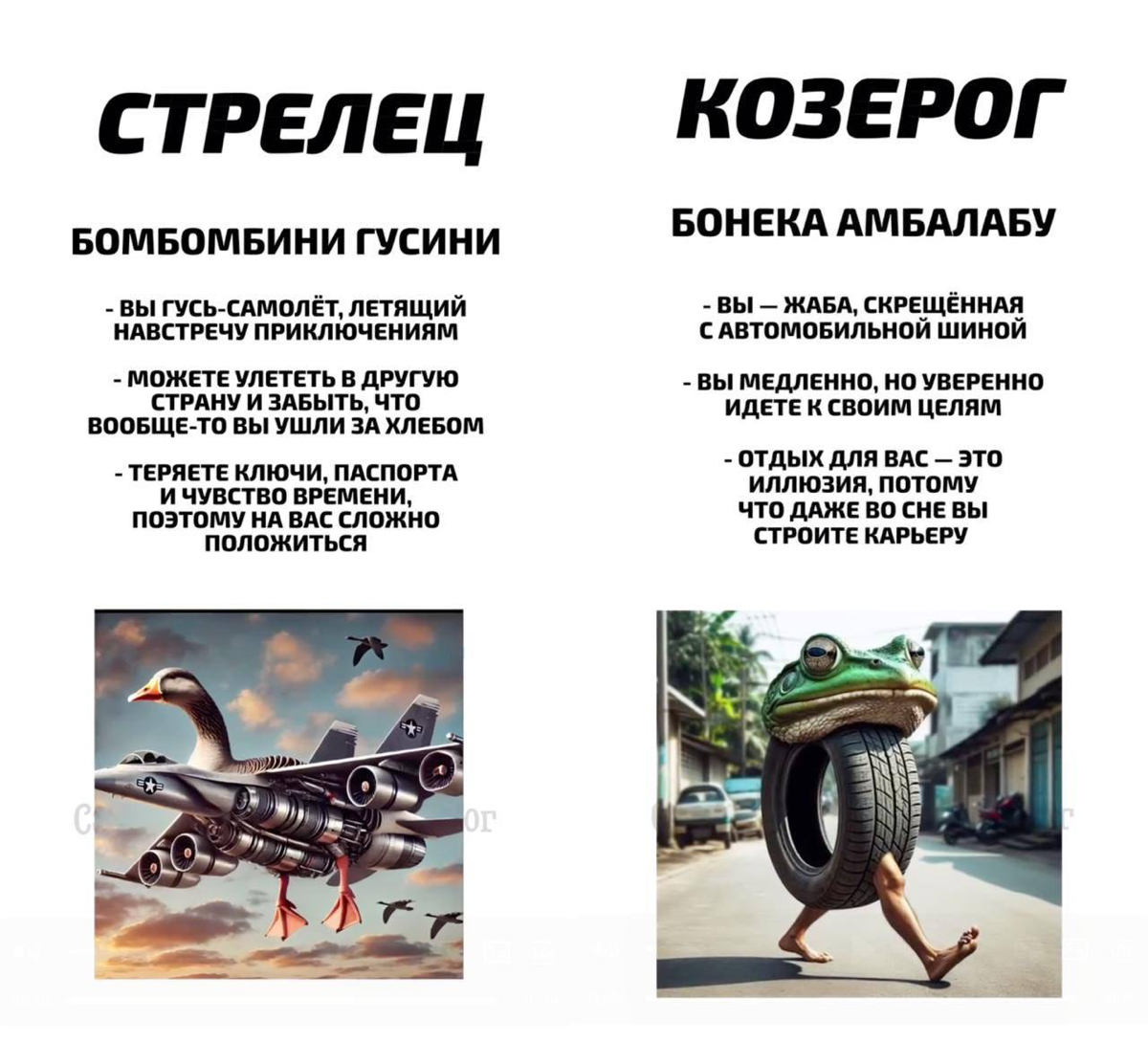 Какое вы итальянское животное по знаку зодиака? | Сетка — социальная сеть от hh.ru
