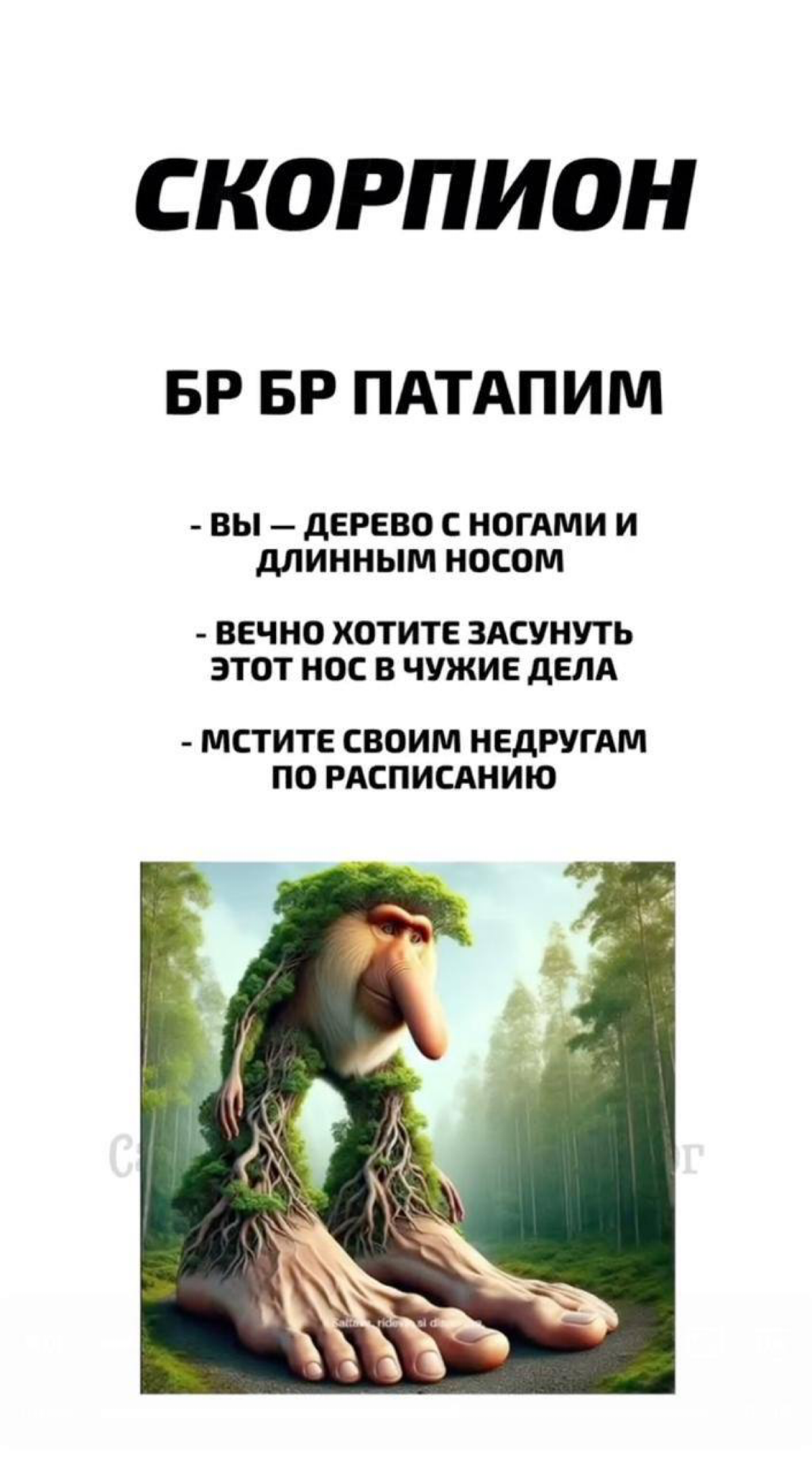 Какое вы итальянское животное по знаку зодиака? | Сетка — социальная сеть от hh.ru