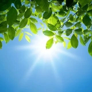 🌿🌿🌿🌿🌿🌿🌿🌿🌿🌿🌿🌿🌿🌿
ЛЕЧЕБНАЯ МИКРОЗЕЛЕНЬ — это молодые побеги растений (обычно возрастом 7–14 дней), которые содержат максимальную концентрацию витаминов, минералов, антиоксидантов и других полезных вещест... | Сетка — социальная сеть от hh.ru