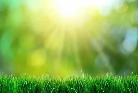 🌿🌿🌿🌿🌿🌿🌿🌿🌿🌿🌿🌿🌿🌿
ЛЕЧЕБНАЯ МИКРОЗЕЛЕНЬ — это молодые побеги растений (обычно возрастом 7–14 дней), которые содержат максимальную концентрацию витаминов, минералов, антиоксидантов и других полезных вещест... | Сетка — социальная сеть от hh.ru