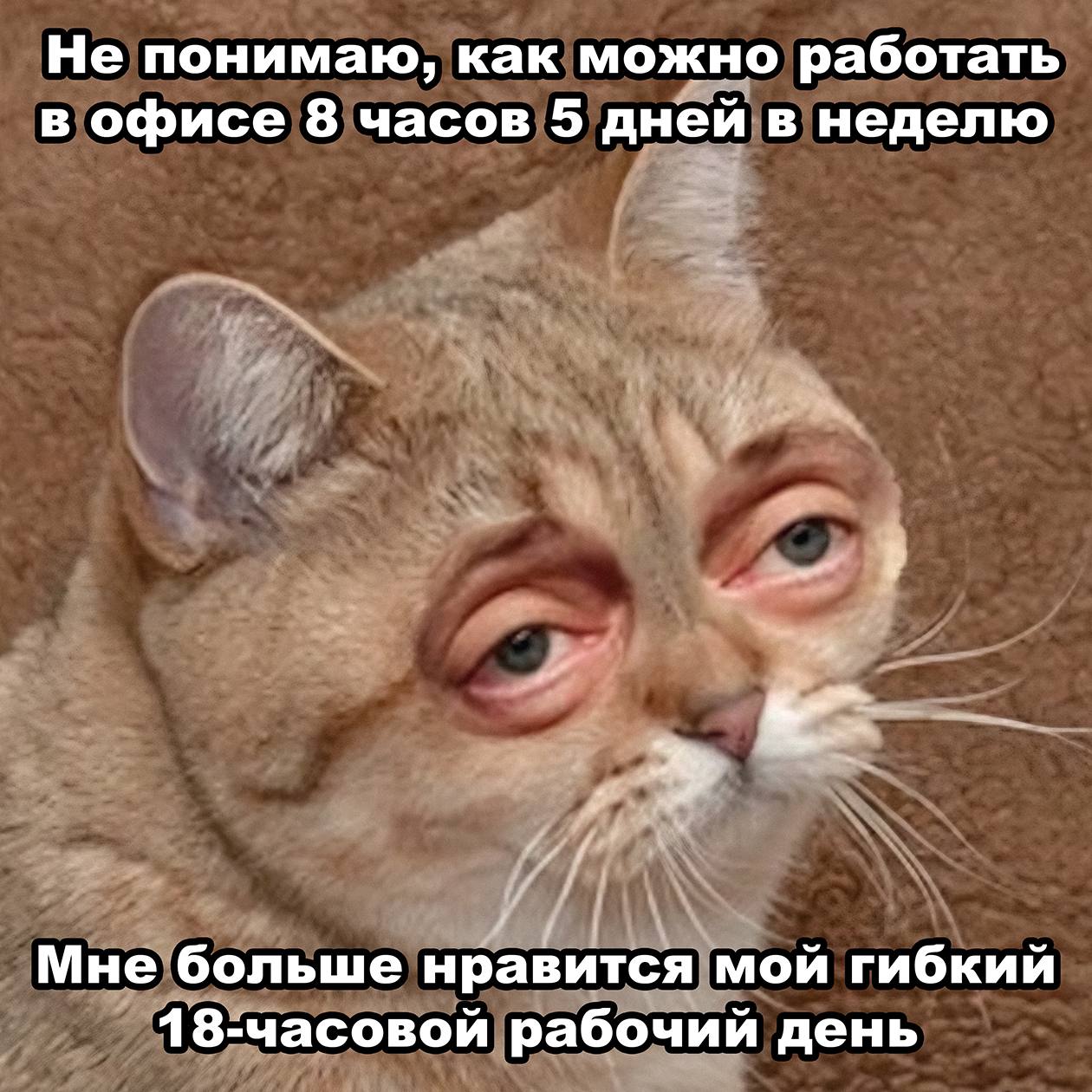 Как у вас с режимом работы?
Все успеваете в 8 часов на буднях или перерабатываете? | Сетка — социальная сеть от hh.ru