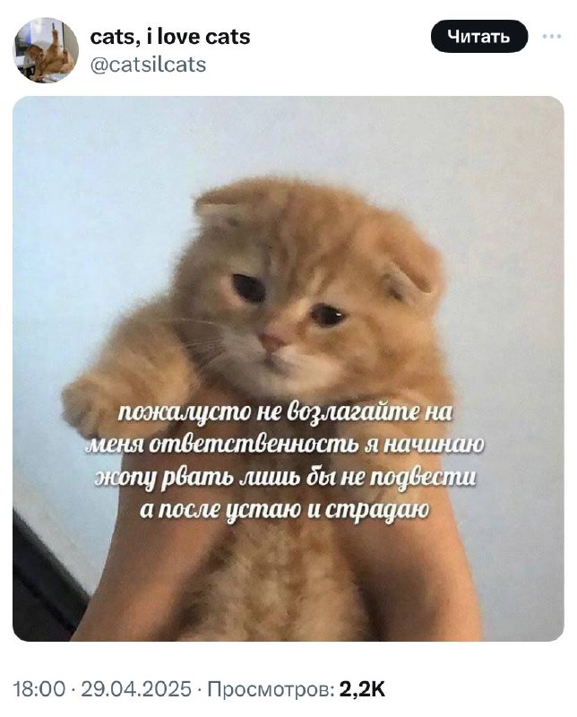 Быстро отправляйте в рабочие чаты, чтобы вас не заваливали задачами перед майскими. | Сетка — социальная сеть от hh.ru