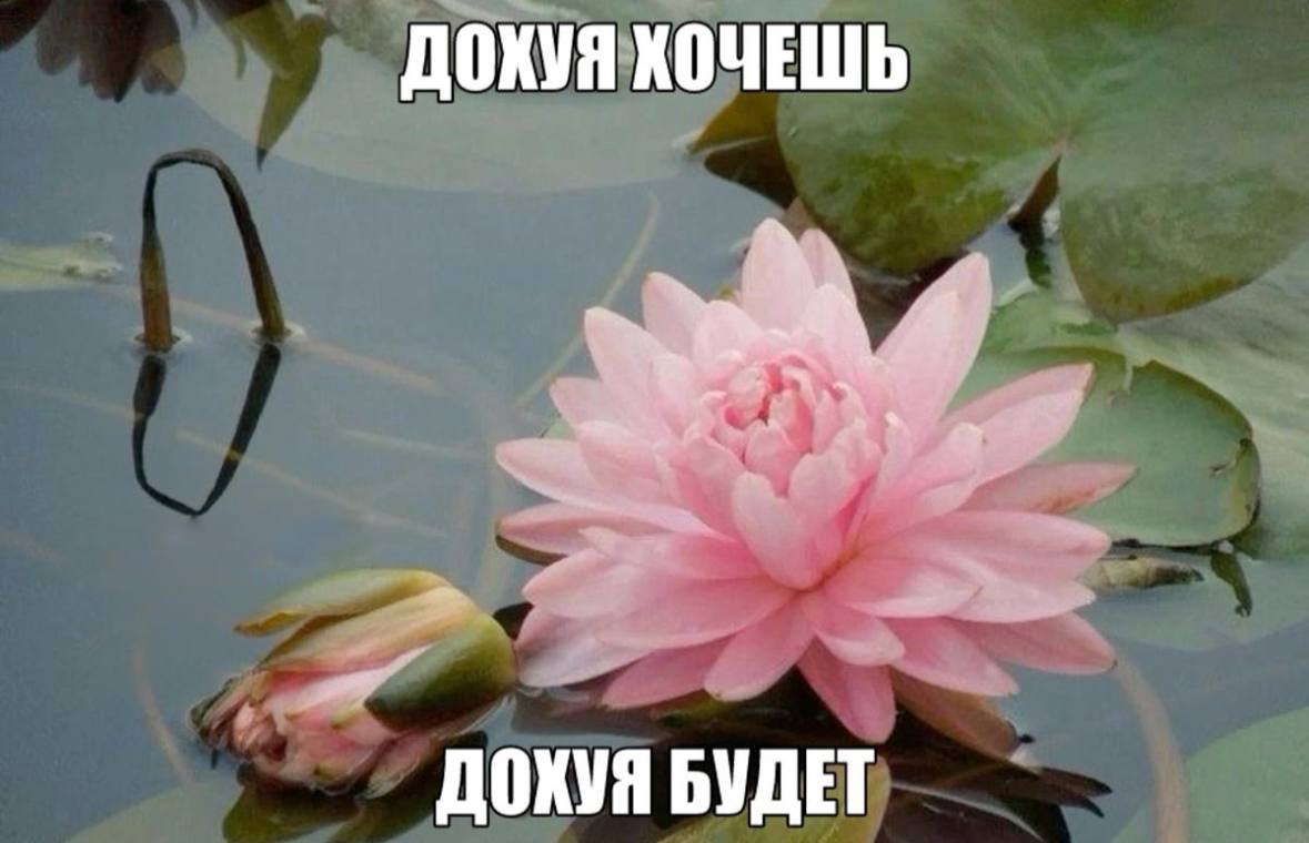 Доброго утра! | Сетка — социальная сеть от hh.ru