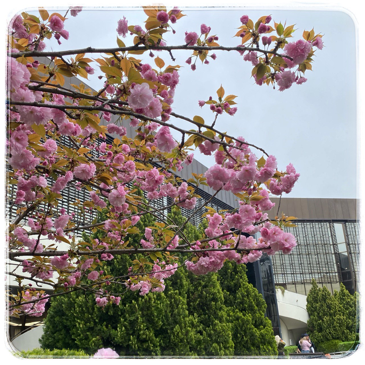 Анонс семинаров | Сетка — социальная сеть от hh.ru