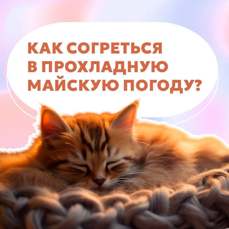 На Ставрополье обещают заморозки🥶
Сейчас именно тот период, когда солнышко светит, но не греет.
Собрали для вас пару советов, как согреться в прохладную погоду👆🏻 | Сетка — социальная сеть от hh.ru