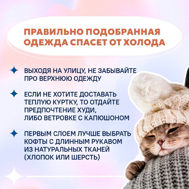 На Ставрополье обещают заморозки🥶
Сейчас именно тот период, когда солнышко светит, но не греет.
Собрали для вас пару советов, как согреться в прохладную погоду👆🏻 | Сетка — социальная сеть от hh.ru
