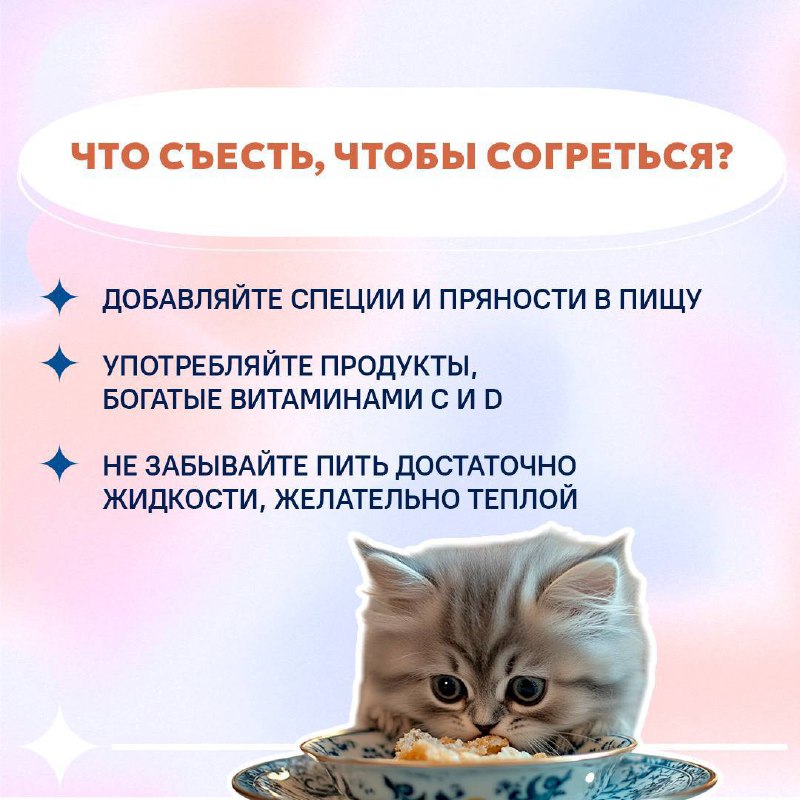 На Ставрополье обещают заморозки🥶
Сейчас именно тот период, когда солнышко светит, но не греет.
Собрали для вас пару советов, как согреться в прохладную погоду👆🏻 | Сетка — социальная сеть от hh.ru