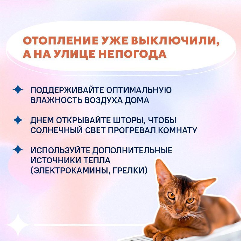 На Ставрополье обещают заморозки🥶
Сейчас именно тот период, когда солнышко светит, но не греет.
Собрали для вас пару советов, как согреться в прохладную погоду👆🏻 | Сетка — социальная сеть от hh.ru