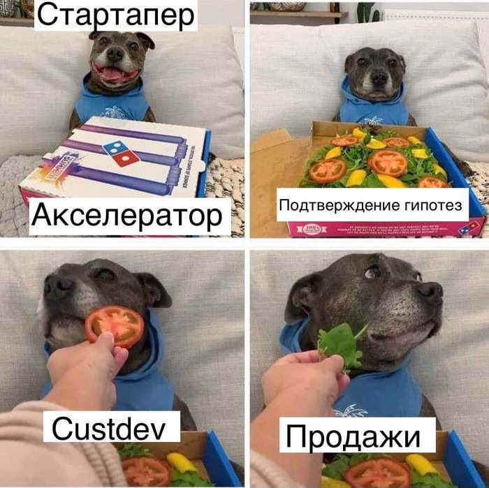 Про стартап как диплом (Длиннопост)
Преподство - одно из моих любимейших хобби. Кайфую я от этого. Так вот. Я вот уже несколько лет сижу в комиссиях по ВКРС (стартап как диплом которые) | Сетка — социальная сеть от hh.ru