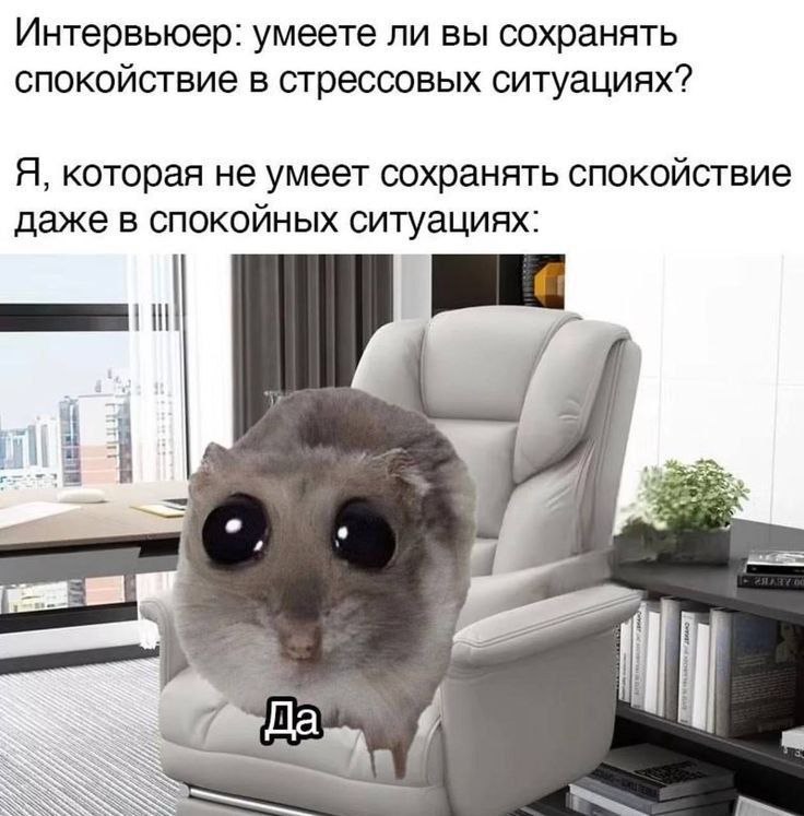 Привет, труженики! 🐝
Главное на собеседованиях - сохранять спокойствие и не волноваться! | Сетка — социальная сеть от hh.ru