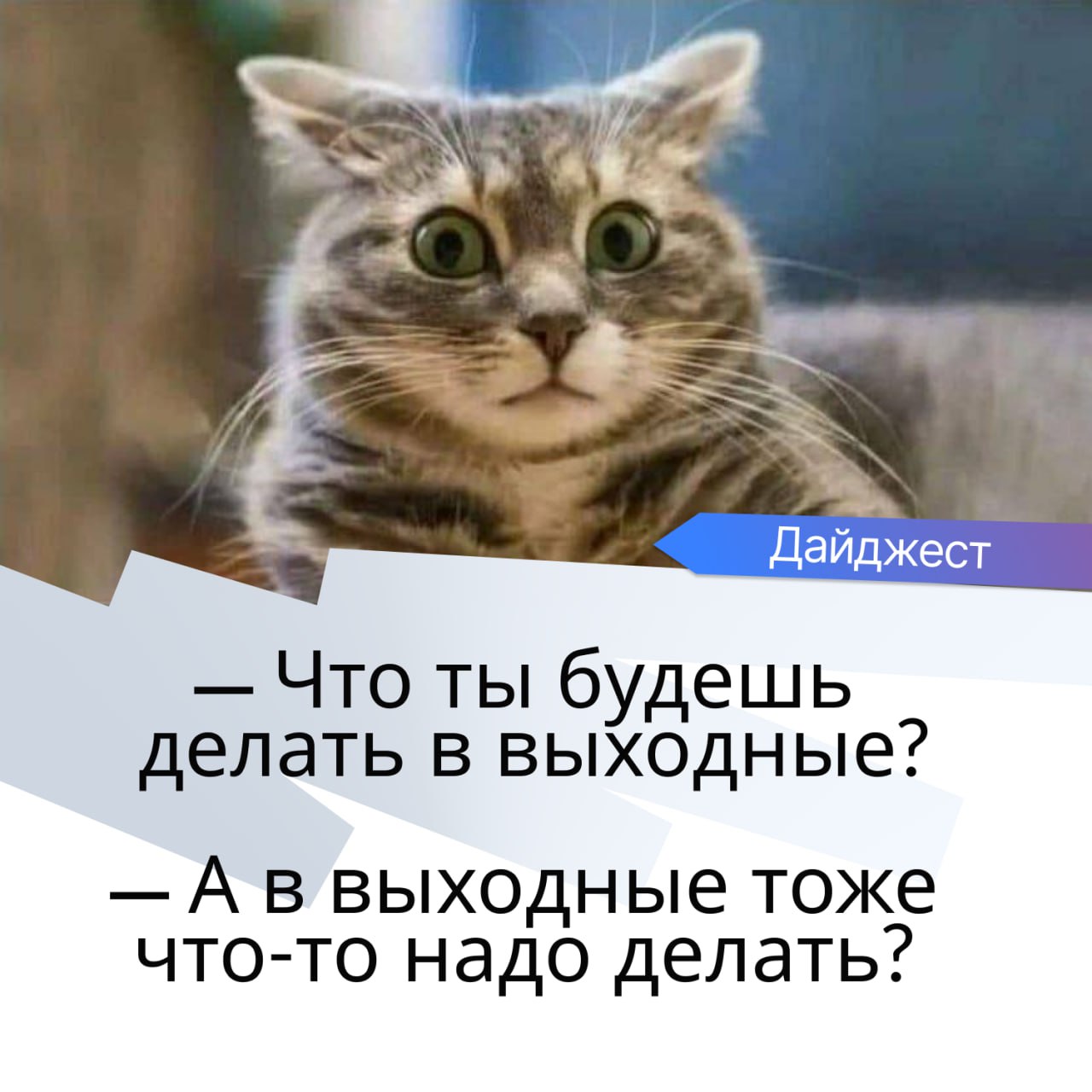 ⚡️Выходные — хороший повод почитать весенний дайджест EmplDocs, мы здесь собрали самое важное за весенний период - все, что вы могли упустить:
➖BI-модуль — точная аналитика по сотрудникам для управлен... | Сетка — социальная сеть от hh.ru