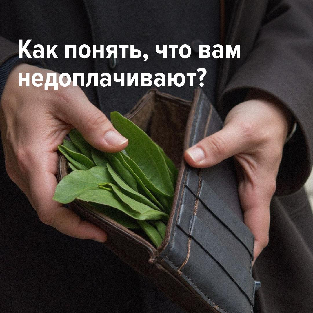 Кажется, что вы получаете меньше, чем должны? Возможно, вы правы.
89% опрошенных соискателей признали: деньги — главный мотиватор на работе | Сетка — социальная сеть от hh.ru