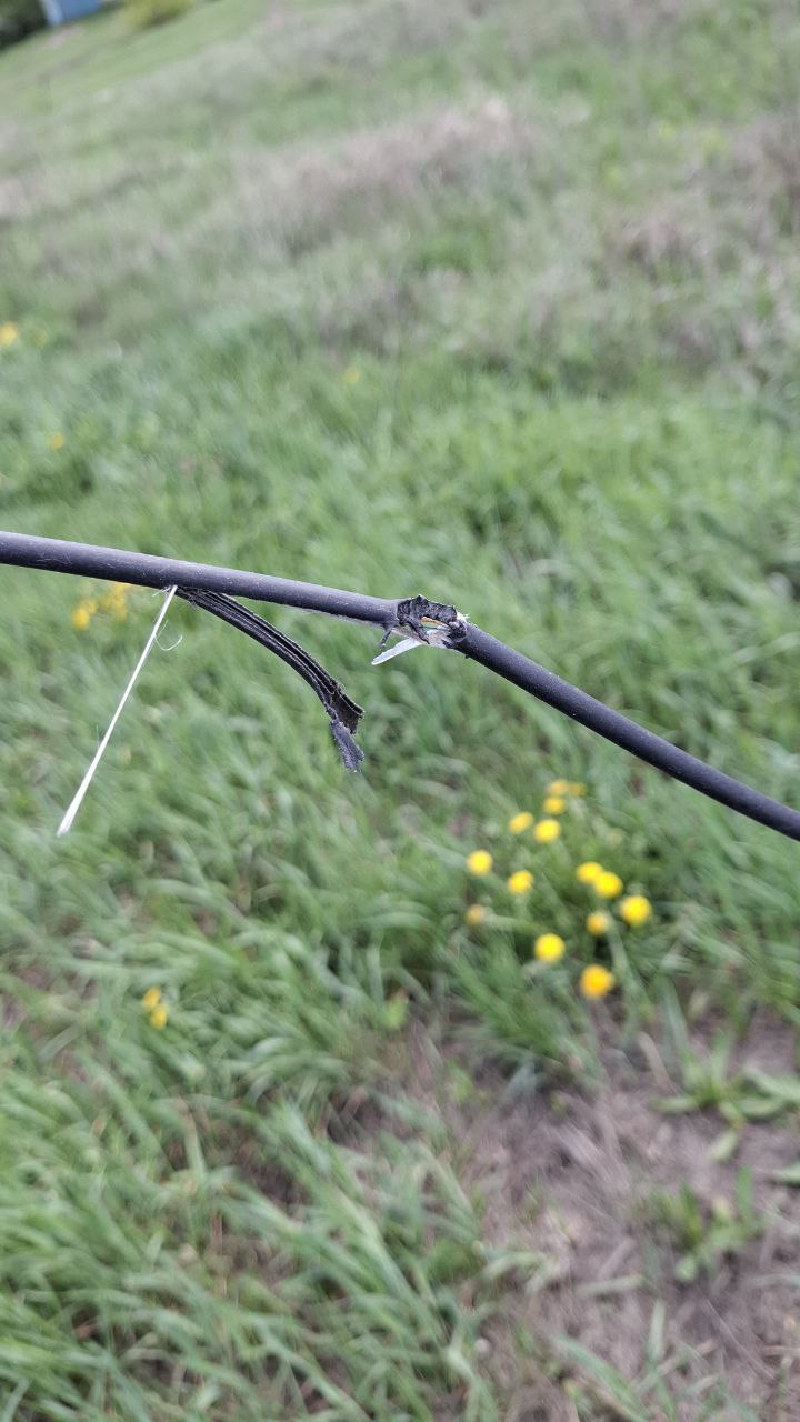 Произведён ремонт магистральной линии оптоволокна в с. Крюково.
Услуга должна восстановиться автоматически. В противном случае потребуется перезагрузка клиентского оборудования. | Сетка — социальная сеть от hh.ru