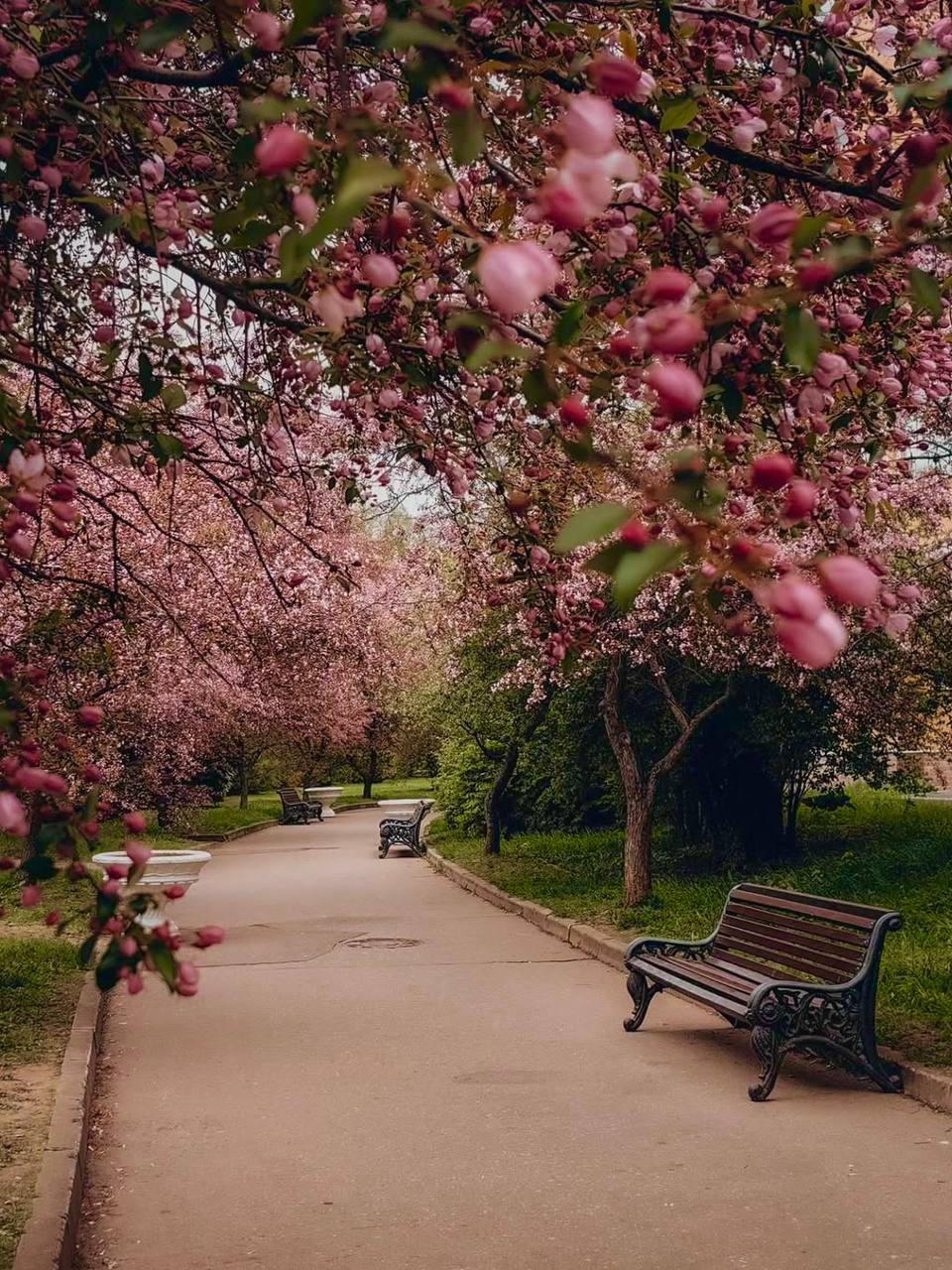 🌷Праздник Весны и Труда в парках
1 мая
📍Парк Горького
📌В программе: мастер-классы, бесплатное посещение народной лаборатории, концерты, лекции, квесты и экскурсии
Подробнее
📍Музей-заповедник «Царицыно... | Сетка — социальная сеть от hh.ru