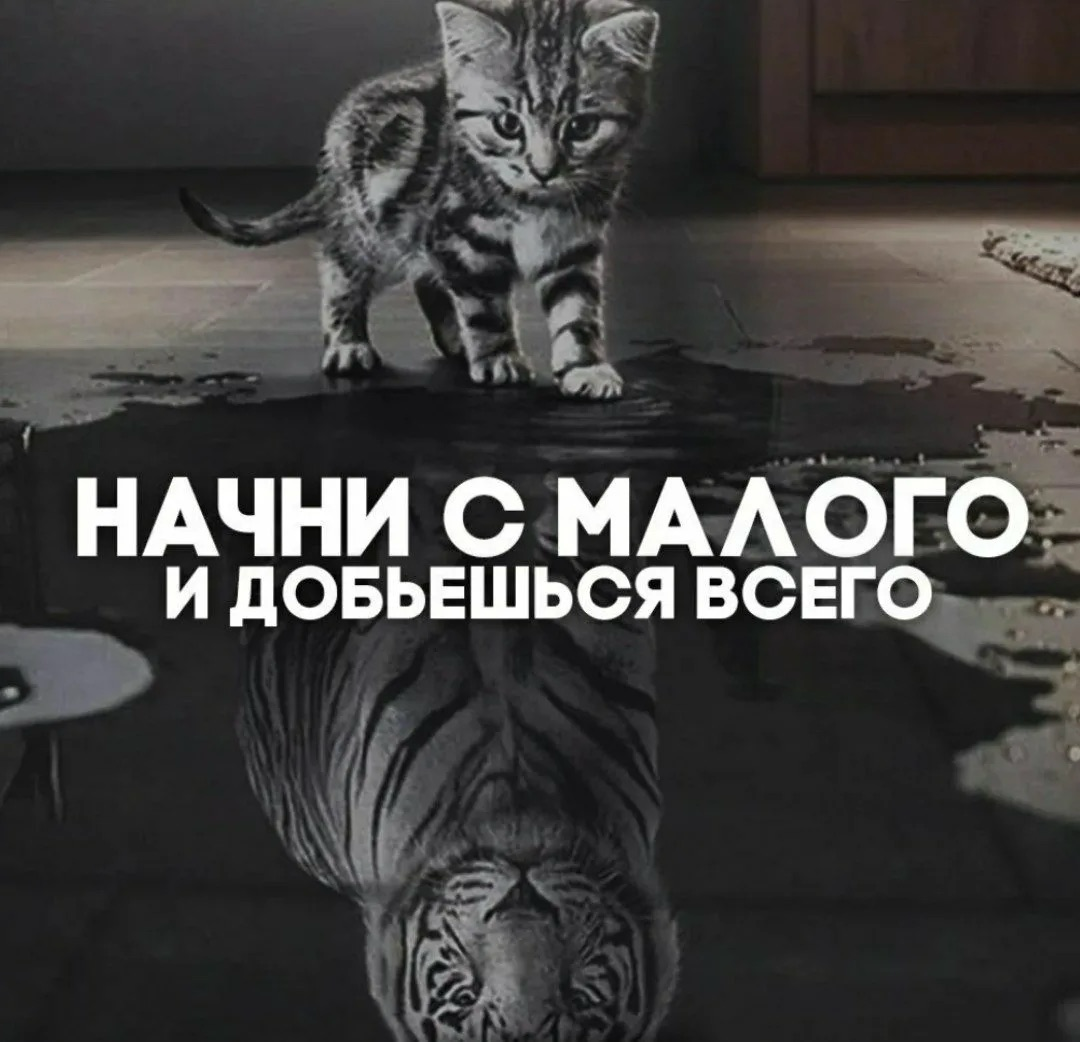 «Почему я перестал верить в «разгоны бизнеса до миллиардов» | Сетка — социальная сеть от hh.ru