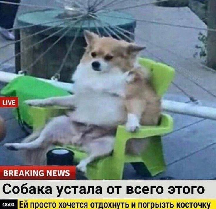 С праздником! | Сетка — социальная сеть от hh.ru