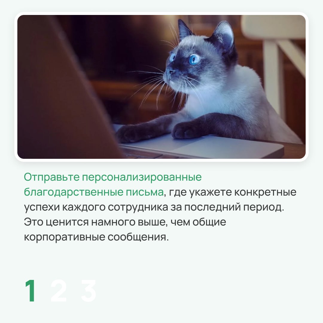 Майские праздники — долгожданная передышка для команды, которая много и напряженно работает | Сетка — социальная сеть от hh.ru