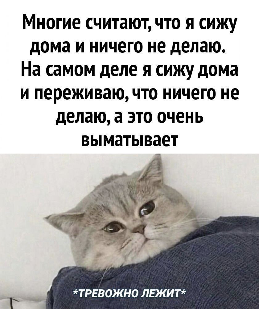 Лайтовая весенне-майская запись!
Давай не переживайть по таким пустякам как "ничего не делаю". Отдых нужен и важен.
А если переживания есть | Сетка — социальная сеть от hh.ru