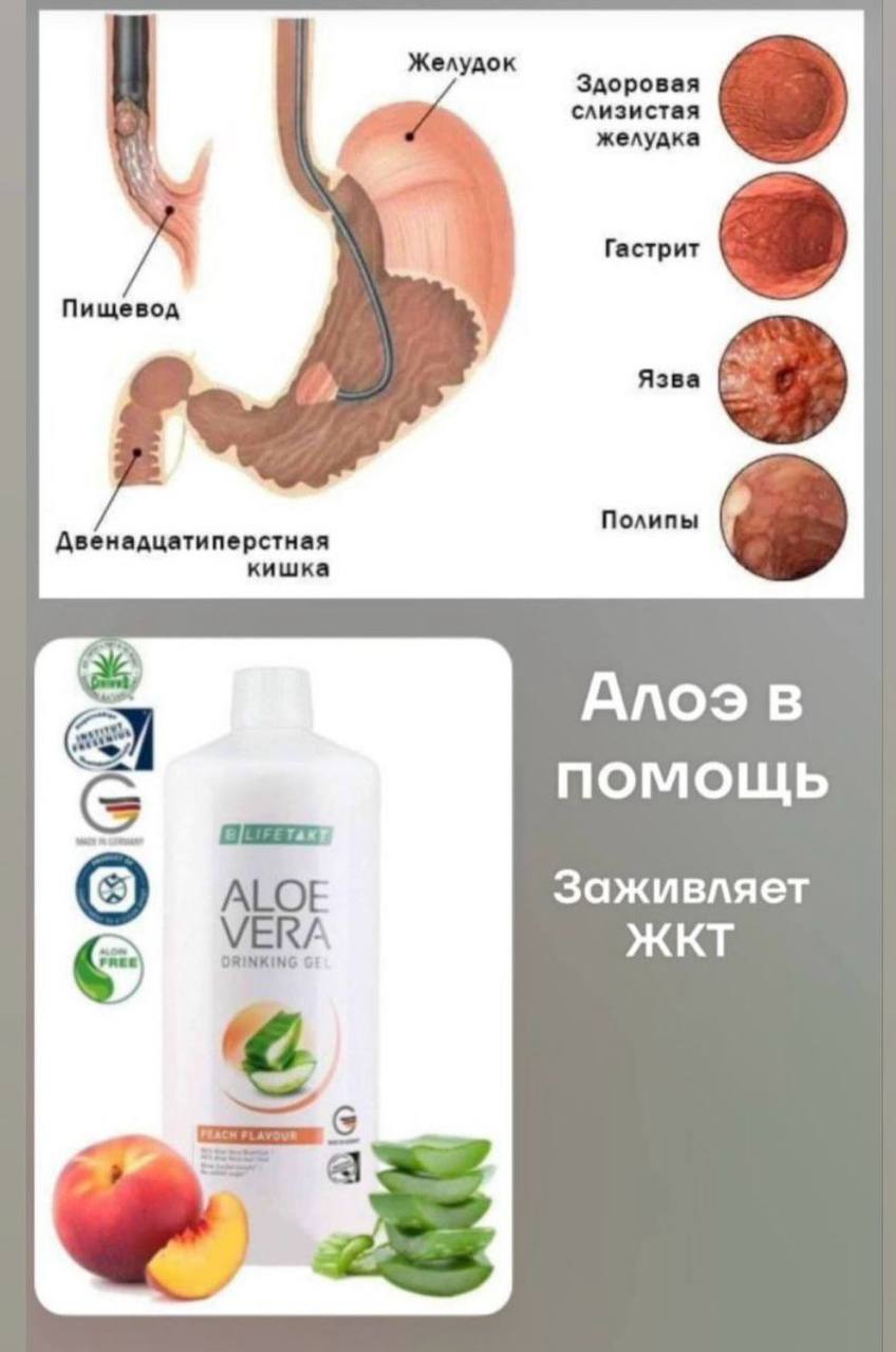 Гель Алоэ Вера Персик для здоровья и очищения организма от токсинов, нормализации иммунитета и повышения устойчивости к инфекциям | Сетка — социальная сеть от hh.ru