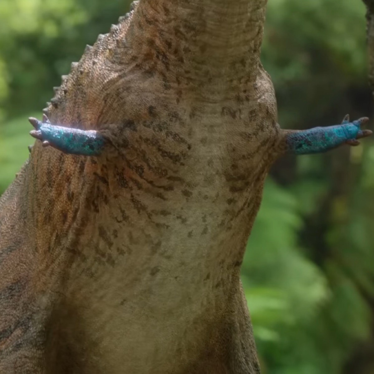 Сергей Ширяев