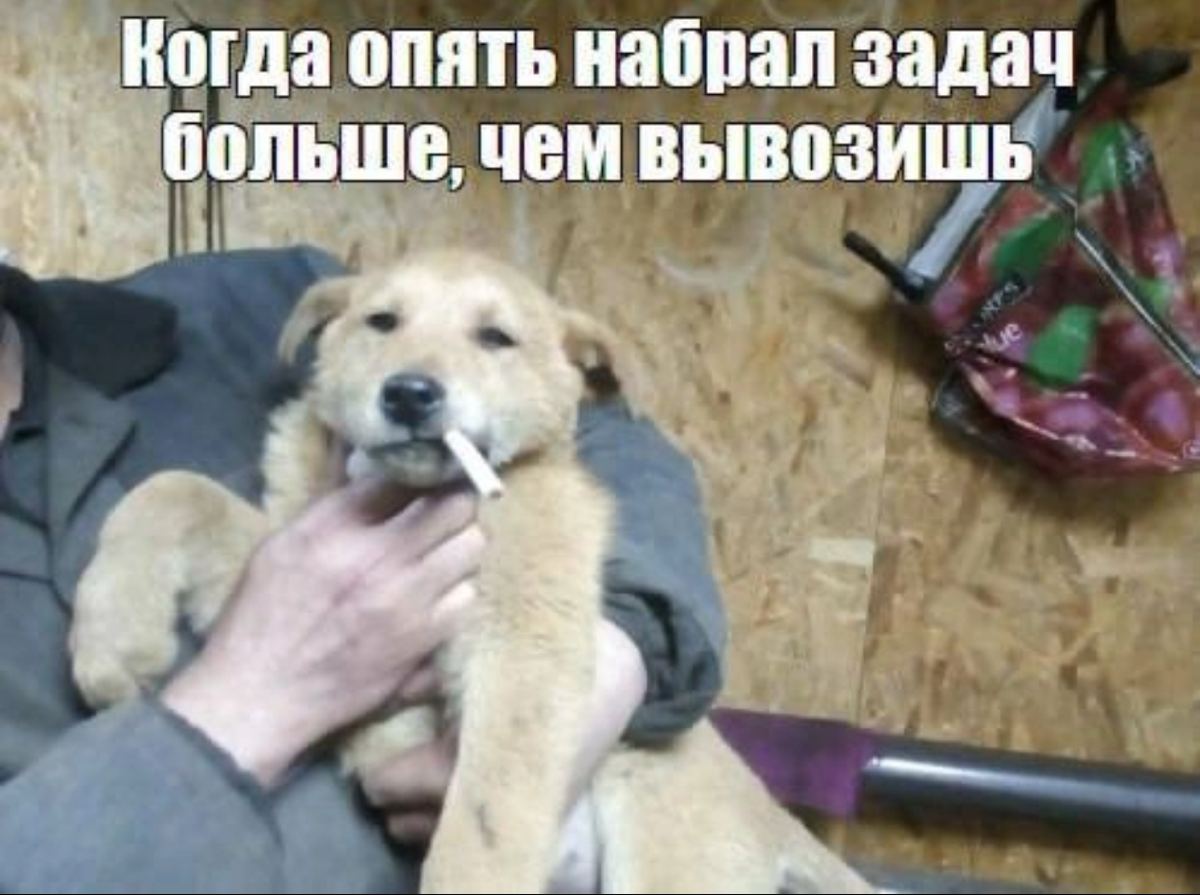 Признавайтесь, было? 😀
Казалось, быстро сделаешь, а в итоге затягивается на неделю, в лучшем случае 😰
#юмор #работа #IT | Сетка — социальная сеть от hh.ru