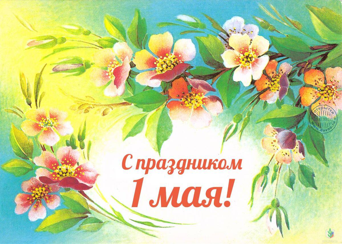 С праздником, друзья!
Миру вам и вашим родным! | Сетка — социальная сеть от hh.ru